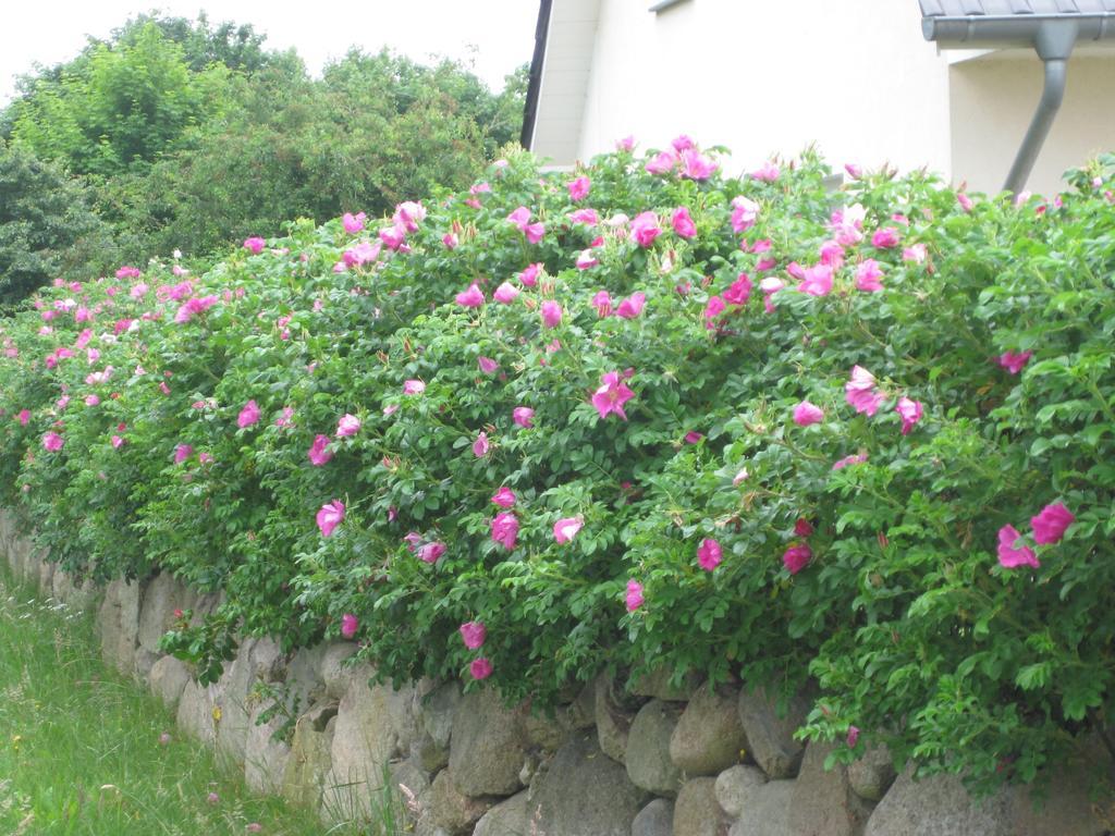Urlaubsglueck Familien- & Hunde-Paradies Rankwitz Chambre photo